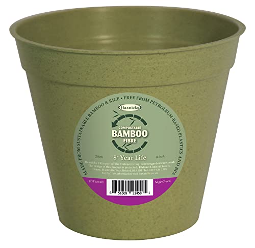 Haxnicks Pot190101 Pflanztopf aus Bambusfaser für drinnen und draußen, 20,3 cm Durchmesser, Salbeigrün von Haxnicks
