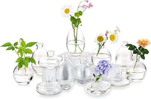 Kleine Vasen Für Tischdeko Aus Hewory, 12 Stück Vase Glas Mini Vasen Set Modern Glasvase Klar Kleine Blumenvasen Für Hochzeitsdeko Tisch Wohnzimmer Deko von Hewory