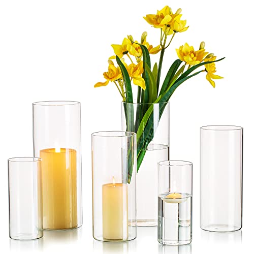 Hewory Vase Glas Blumenvase Modern 6 Stück Vasen Deko Wohnzimmer Tulpenvase Glasvase Gross Vase Groß Kerzenhalter Glaszylinder Set für Hochzeit Tischdeko, 15/20/25cm Hoch von Hewory