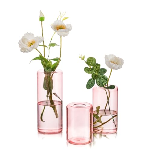 Hewory Glaszylinder Vasen Set of 3: Rosa Vase Glas Zylinder Glasvase Rund Kleine Vasen für Tischdeko, Blumenvase Glas Modern Vasen Deko für Wohnzimmer Schlafzimmer Hochzeit Geburtstag Bad von Hewory