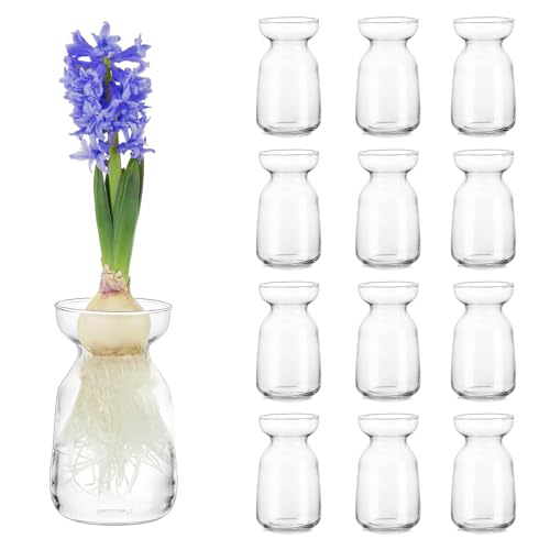 Hewory Kleine Vasen für Tischdeko: 12er Set Vase Glas Hydrokultur Glasvase Klein mit Schnurseil, Kleine Vasen Deko Hydroponik Vasen Set Hyazinthenglas für Wohnzimmer Deko Modern Hochzeitsdeko Tisch von Hewory