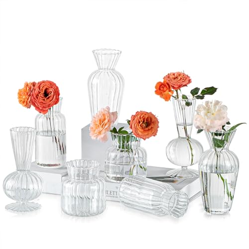 Hewory Kleine Vasen für Tischdeko, 8 Stück Vintage Glasvasen für Tischdeko Vase Glas Mini Vasen Set, Klare Glasvase Verschiedene für Deko Modern Hochzeitsdeko Tisch von Hewory