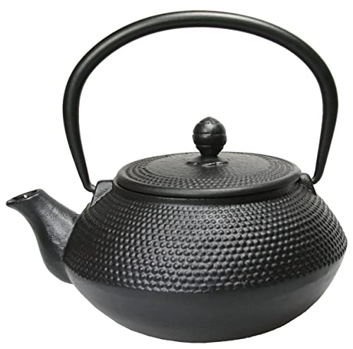 Teekanne Gusseisen schwarz 0,8 Liter Tee Kanne Teebereiter von HiT