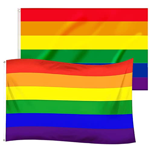 Lgbtq Flagge Hillylolly 2 Stück kräftige Farben Pride Flag, 90X150cm Regenbogenfahne, groß Gay Flag, Regenbogen Flagge mit 2 Ösen für Garten, Balkon, Zimmer, Drinnen und Draußen, Pride Month Parade von Hillylolly