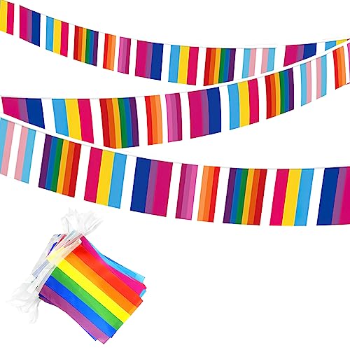 Regenbogen Flaggen Banner Hillylolly small Rainbow Flag, Gay Pride Flagge, Wetterfest Regenbogen Flag Outdoor, Girlande, für Garten, Drinnen und Draußen, Pride Month Parade Party Dekoration 10 Meter-B von Hillylolly