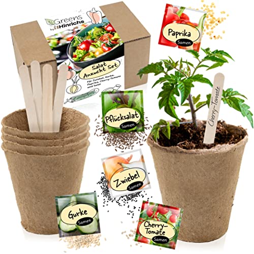 Hinrichs Greens Salat Anzucht Set – Gemüse Anzuchtset Gemüse – 5 Gemüsesorten – Zwiebel Samen Paprika Samen Salat Samen - Gartensamenset -Samen Gemüse mit Anzuchterde - Küche Geschenk Garten Geschenk von Hinrichs