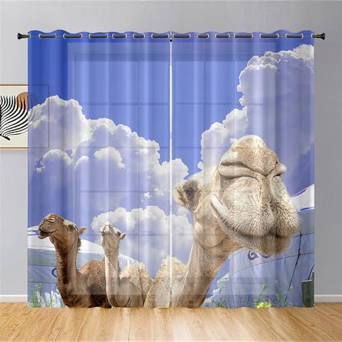 Hiseng 3D-Kameldruck Gardinen Voile Vorhänge Halbtransparent Vorhang, Gardinen mit Ösen Vorhänge Wohnzimmer, Gardine Curtains für Küche Stores Schlafzimmer (Weisse Wolke,140x160cm) von Hiseng
