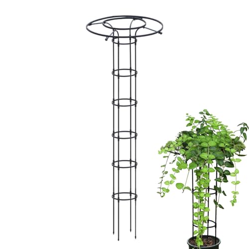 Hitrod Rankgitter für Topfpflanzen, vertikales Rankgitter für den Garten | Rankgitter aus Metalldraht für Zimmerpflanzen,DIY-Klettergitter-Blumentöpfe unterstützen rostfreie Metalldrahtpfähle für von Hitrod