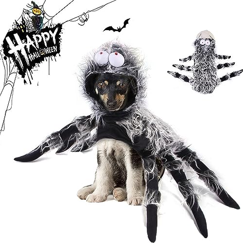 Haustier Hund Katze Halloween Spinne kostüm, Halloween-Kostüm, Halloween-Kostüm für Hunde, Plüsch-Spinnenkostüm für Katzen, Spinnenkostüm Haustiere Cosplay Kostüm Kleidung Plüsch Spinne (M) von HoGeGe
