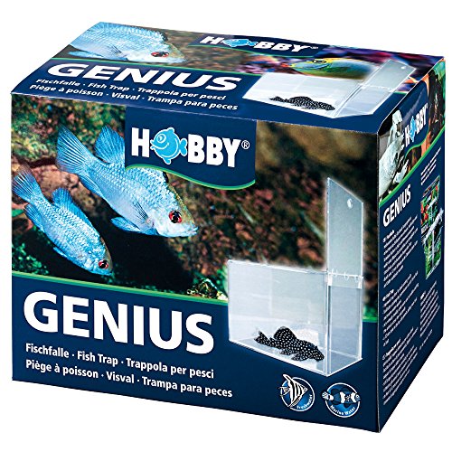 Hobby 61340 Genius, Fischfalle, 21 x 13 x 15 cm von Hobby