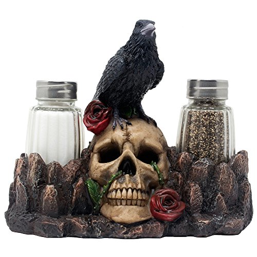 Bone Chilling Raven on Human Skull Salt and Pepper Shaker Set with Decorative Display Stand Figurine for Scary Halloween Decorations or Medieval & Gothic Kitchen Table Decor As Spooky Fantasy Gifts von Home-n-Gifts