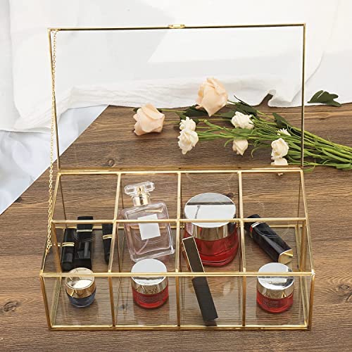 Homtone 8 Fächer Goldene Kupfer Vintage Glasbox, Durchsichtige Andenkenbox, Schmuck-Organizer und Thekenaufsatz Kollektion, Vitrine, Dekoratives Klares Glas und Messingbox von Homtone