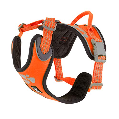 Hurtta Weekend Warrior Hundegeschirr, Neonorange, 81,3-99,1 cm von Hurtta