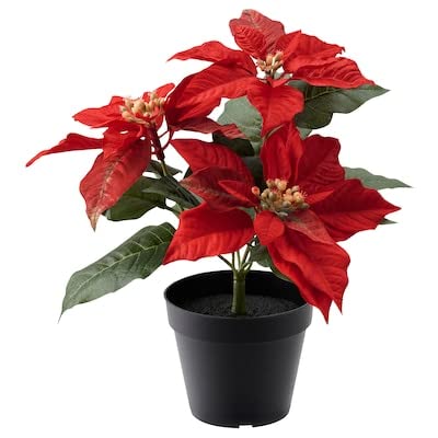 FEJKA Künstliche Topfpflanze, für den Außenbereich, Weihnachtsstern, rot, 12 cm von I-K-E-A