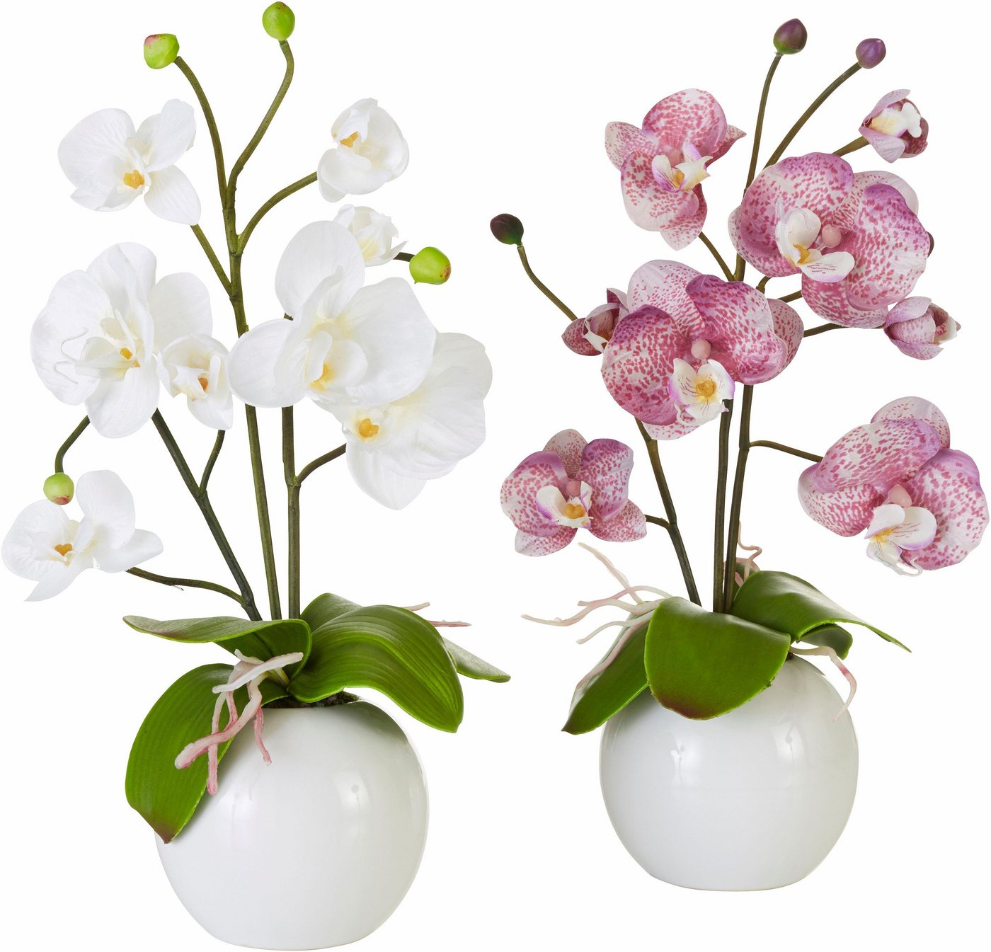 Kunstpflanze Orchidee Orchidee, I.GE.A., Höhe 35 cm von I.GE.A.