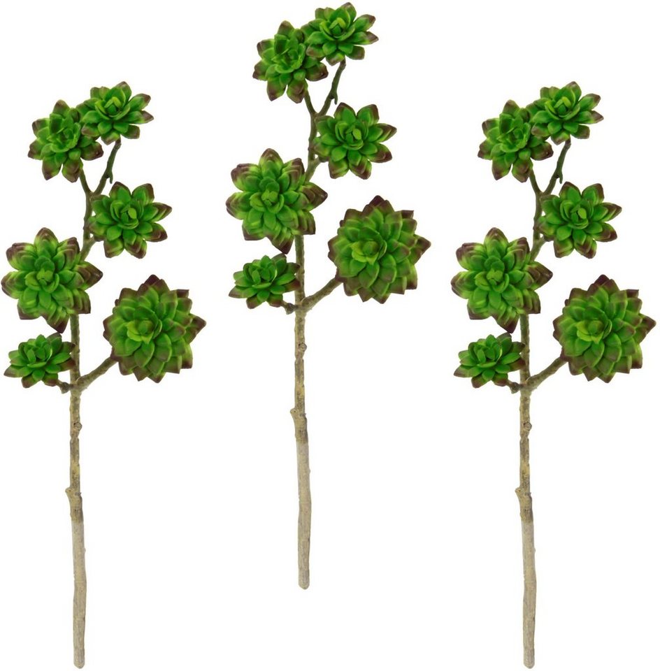 Kunstpflanze Sukkulentenzweig, I.GE.A., Höhe 45 cm, 3er Set von I.GE.A.
