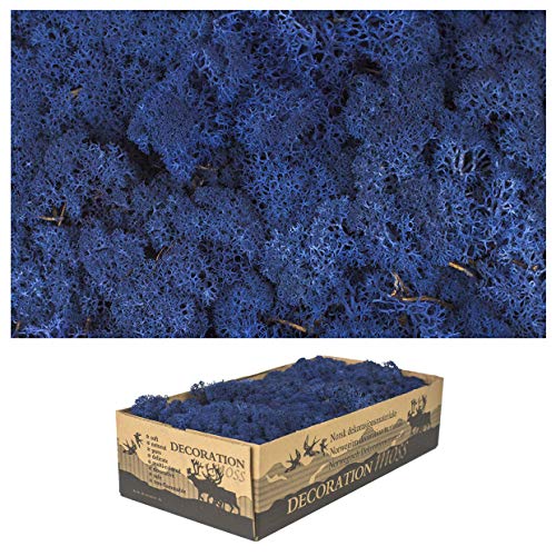 1 Kiste Echtes Moos - Natur Dekomoos zum basteln in verschiedenen frischen Sorten - DIY - Islandmoos, Plattenmoos, Bollenmoos, Hügelmoos Sphagnum Moos (Classic Blue) von Inter Flowers