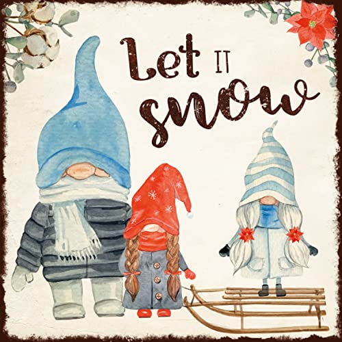 Interluxe Metallschild 20x20cm - GNOME let it Snow - Wichtel Geschenkidee für Freunde Familie Weihnachtsdekoration Weihnachten von Interluxe