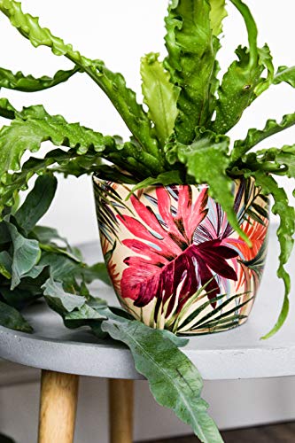 Ivyline Blumentopf, Keramik, Cremefarben/Pink/Grün, 16 cm von Ivyline