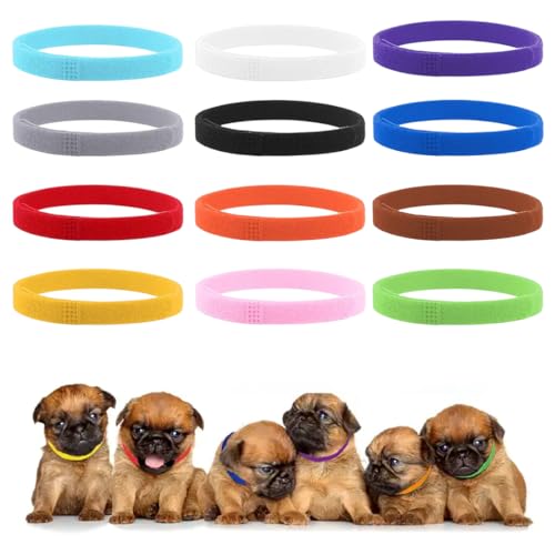 JSKWIKE 12 Pcs Welpenhalsbänder Wurfhalsbänder für kleine Welpen verstellbare ID-Halsbänder für kleine Katzen Hunde Welpen Identifikationshalsbänder Neugeborenenhalsbänder für Kätzchen (30cm) von JSKWIKE