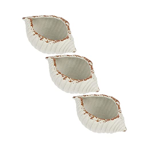 JTBDWOSK 3Pcs Conch Pflanzer,Conch Shell Blumentopf Keramik Sukkulenten Pflanzer Muschel Indoor Blumentopf für Air Plant Anordnung Pflanztöpfe für Zimmerpflanzen,Weiß von JTBDWOSK