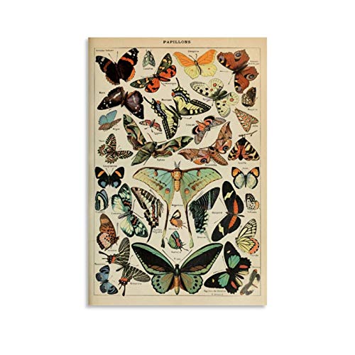 JTYK Vintage-Poster, Schmetterlinge, dekoratives Gemälde, Leinwand, Wandkunst, Wohnzimmer, Poster, Schlafzimmer, Gemälde, 40 x 60 cm von JTYK