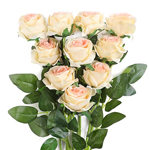 JUSTOYOU 10 Pack Seide Künstliche Rose Blumen Brautstrauss Blumen(Champagner) von JUSTOYOU