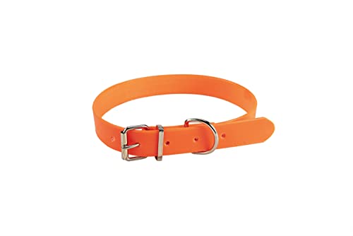 JANUEL - Hundehalsband, PVC, Länge 45 cm x Breite 25 mm, Orange von januel