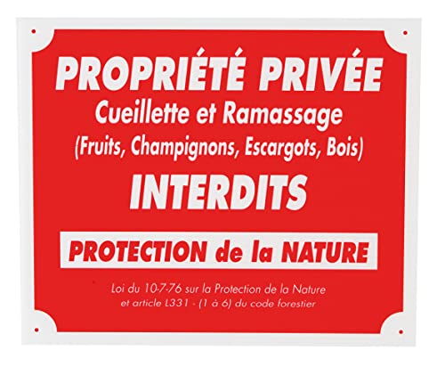Januel RDV54815 Warnschild, für Erwachsene, 30 x 25 cm, Weiß auf Rot von januel