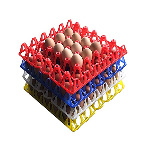 Eierablage aus Kunststoff, für 30 Eier, in 4 Farben, 5 Stück von Jilijia