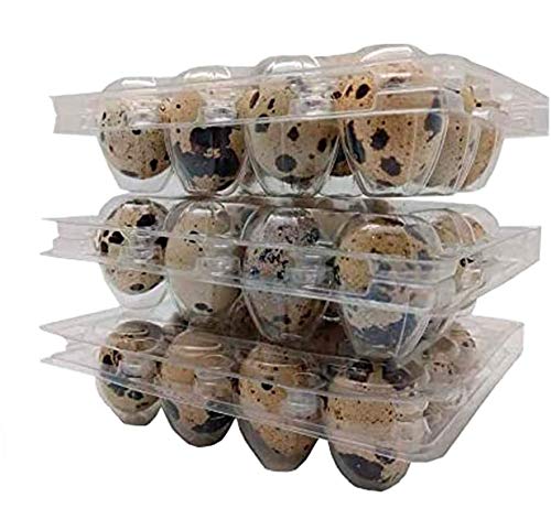 Wachtelei aus Kunststoff, Packung mit 100 Kartons für Dutzende von kleinen Eiern, Wachteln, Fasan oder Huhn, für 12 Wachteln oder kleine Eier, keine Eier enthalten von Jilijia