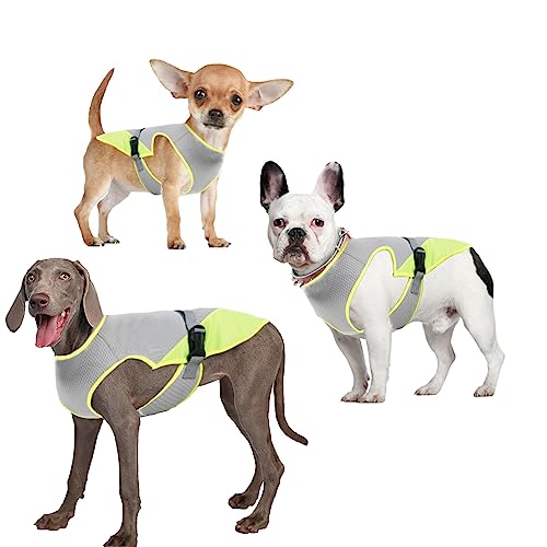 Hundekühlweste,Haustier Kühlweste,Atmungsaktives Mesh Hundejacke für mittlere und große Hunderassen,Verstellbare Hund Kühlweste Blau für Aktivitäten draußen, Wandern,Training (Grau-L) von Jodsen