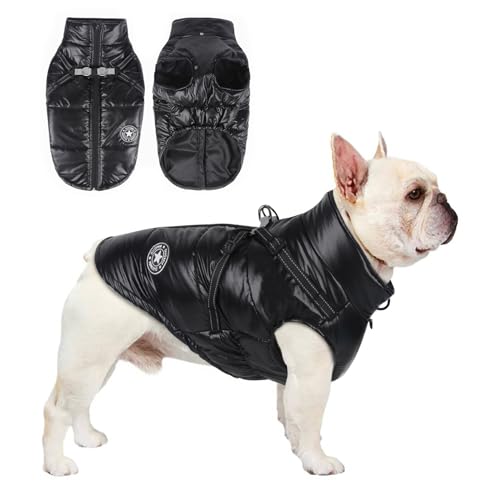 Jortmrd Hundemantel Winter Hunde Wintermantel Wasserdicht Hundejacke Warm Winterjacken Hundeweste mit Geschirr und Reflektorstreifen Dog Winter Coat für Kleine Mittlere Große Hunde (M Schwarz) von Jortmrd