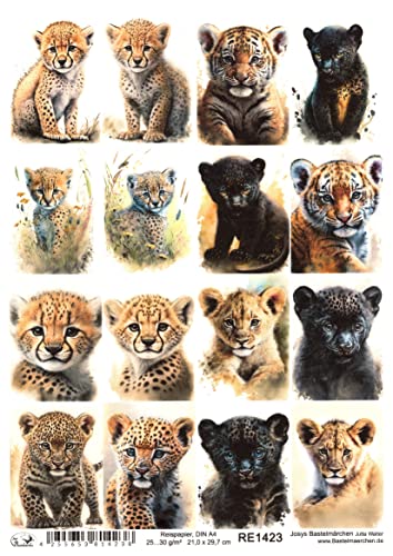 Josys Bastelmärchen Reispapier A4 Strohseide Motiv Raubtiere Tiger Löwe Leopard Gepard Panter RE1423 von Josys Bastelmärchen