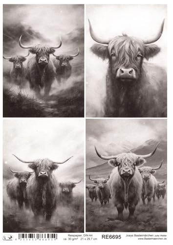 Josys Bastelmärchen Reispapier A4 Strohseide Motiv schottisches Hochlandrind Highland Cattle RE6695 von Josys Bastelmärchen