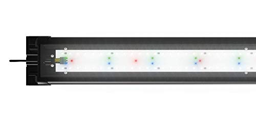 Juwel Aquarium - HeliaLux Spectrum 700- Hochleistungs-LED-Einsatzleuchte mit vollem Lichtspektrum von Juwel Aquarium