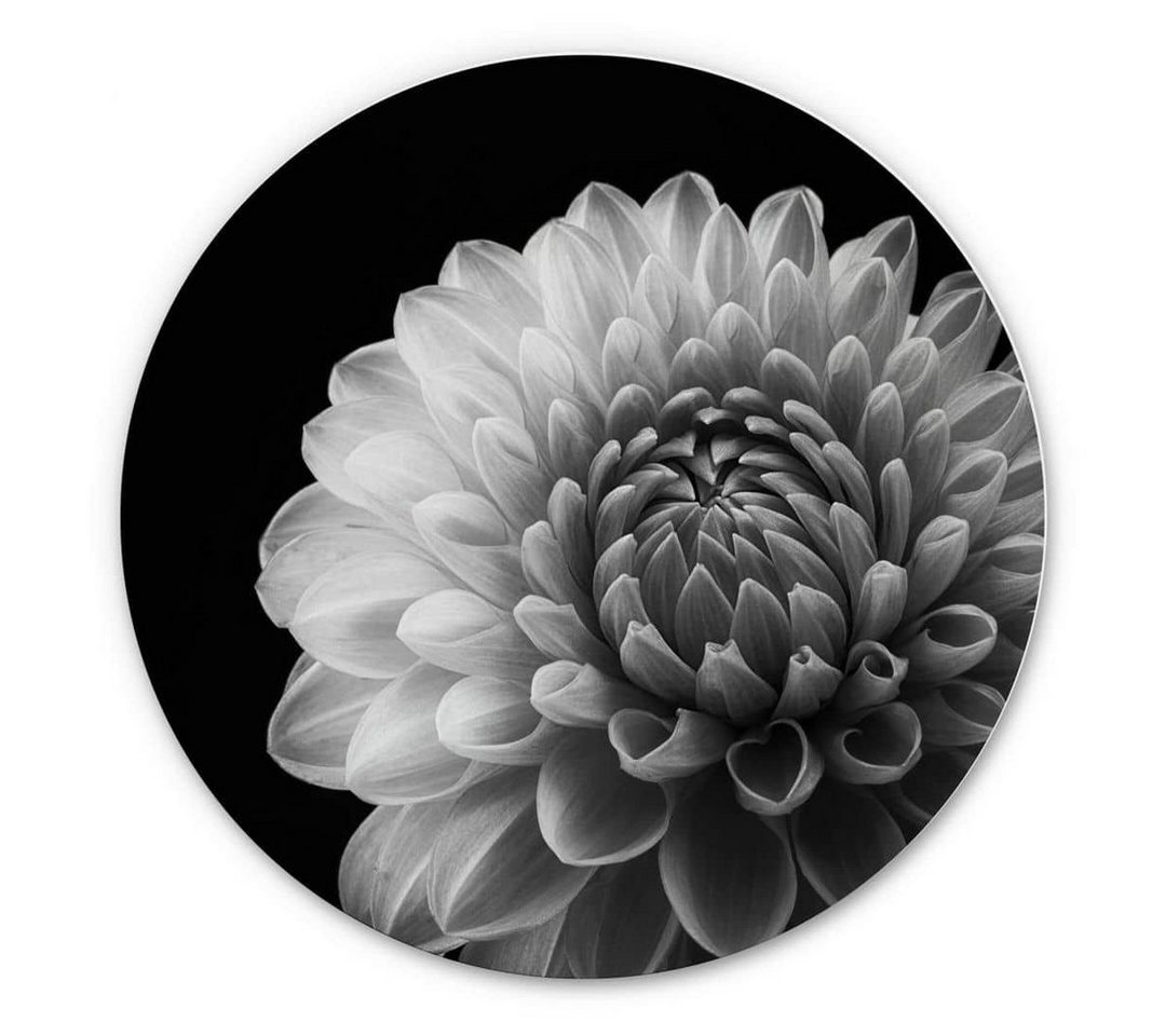 K&L Wall Art Gemälde Metallposter Dahlie Floral Blume schwarz-weiß Deko Grønkjær, Metalloptik Wandbild Ø 45cm von K&L Wall Art