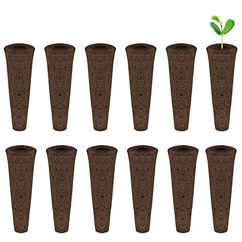 KINBOM 12 Stück Samen Wachsender Schwamm, für Pflanzen Züchten Hydroponik Samen Kapsel Kit zum Pflanzen Seed Pods Samen Starter Set für Indoor Hydrokultur System (5,5 cm Lang) von KINBOM