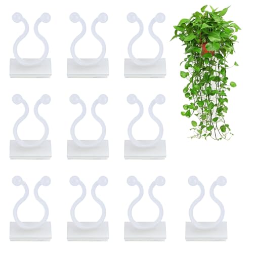 KINGLAKE 50 Stück pflanzenclips pflanzenklammern Wand selbstklebend Pflanzen Clips Wand Plant Climbing Clips Wall befestigungs für kletterpflanzen Befestigung Clips Wand (weiß) von KINGLAKE