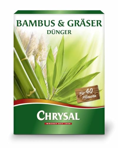 Chrysal Bambus & Gräser Dünger 1 kg von KIXX