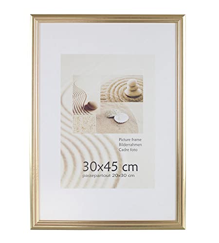 S216 Holz Bilderrahmen Acrylglas Lifestyle Foto Rahmen Collage Wanddeko Poster: Farbe: Gold | Format: 30x45 von KM FOTO