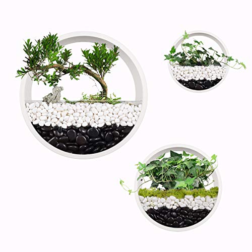 Set mit 3 runden Wand-Pflanzgefäßen, Hängekörben, Metall-Pflanzgefäßen, Kreis, Blumentopf, Wanddekoration, Akzente für Luftpflanzen, Kunstpflanzen (weiß) von KNIKGLASS