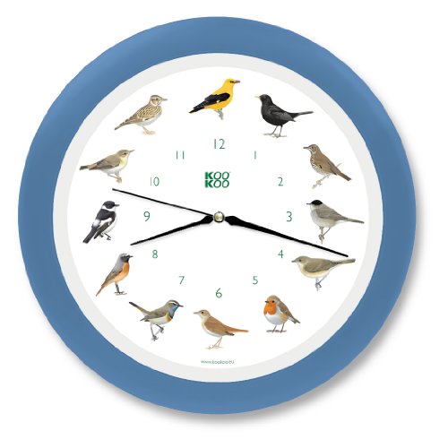 KOOKOO Singvögel Quarzwerk Himmel-blau, Die Singende Vogeluhr, runde Wanduhr mit natürlichen Vogelstimmen von KOOKOO