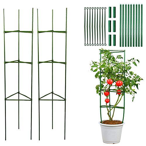 Gartenpflanze Unterstützung, Tomatenkäfig Stützstangen, Pflanzenhalter, Rankhilfe Pflanzenhalter, Kunststoff beschichtete Pflanzen Sticks mit Verbindungsstange für Gemüse,Blumen,Gemüse(Zwei Sätze) von Kakveiai