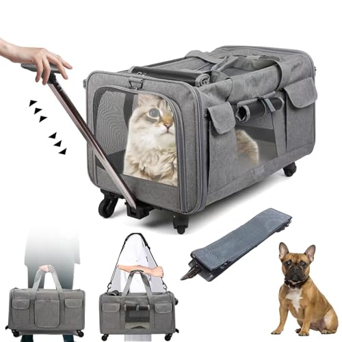 Katzen Transportboxen,30L Transportbox Hund, Abnehmbare Lenkrollen, Katzentransportbox draußen und zu Hause kleine Hunde und Katzen von Kensbro