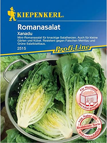 Kiepenkerl 2515 Mini-Romanasalat Xanadu, für knackige Salatherzen, auch für kleine Gärten und Kübel, resistent gegen Falschen Mehltau von Kiepenkerl