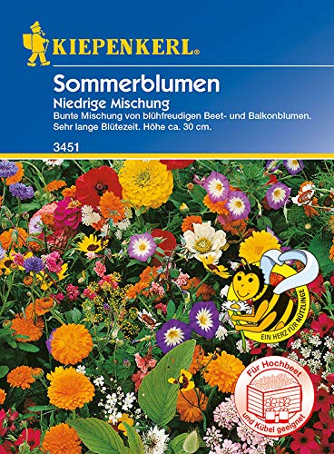 Kiepenkerl 3451 Sommerblumen Niedrige Mischung (Sommerblumensamen) von Kiepenkerl