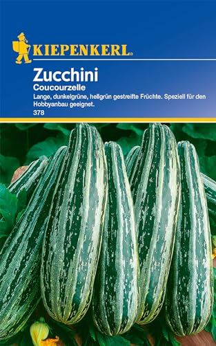Kiepenkerl Zucchinisamen Coucourzelle - Ertragreiche Gemüsesamen für gestreifte Zucchini, Zuverlässige Sorte mit mildem Aroma, Ideal für den Gemüsegarten und frisches Gemüse von Kiepenkerl
