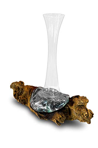 Geschmolzenes Glas auf Wurzelholz - Glasschale auf Wurzel - Teak Holz mit Glasvase oder Schale (Vase 40 x 20 cm) von Kinaree