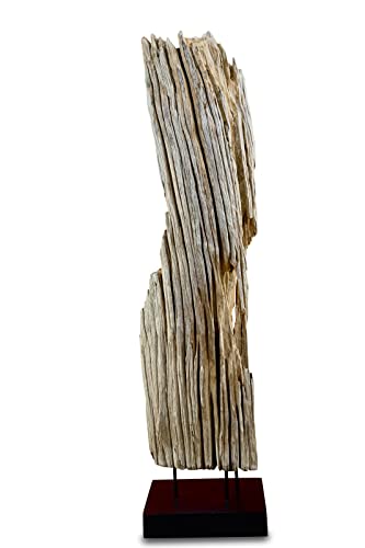 Kinaree Treibholz Skulptur 100cm - Dekoration aus Treibholz geeignet für Wohnzimmer, Flur oder Schlafzimmer von Kinaree